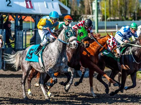 horse races vancouver|exhibition race track vancouver.